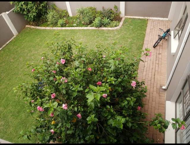 3 BEDROOM PROPERTY TO RENT IN AMOROSA